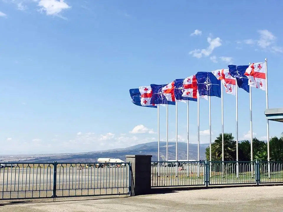 North Atlantic Council visits Georgia