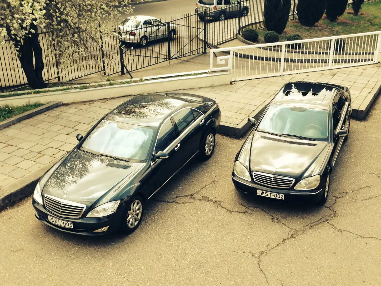 WT Group presents its renewed fleet